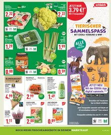 Äpfel im Marktkauf Prospekt "Aktuelle Angebote" mit 26 Seiten (Wuppertal)