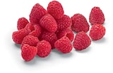 Himbeeren bei Netto Marken-Discount im Prospekt "" für 1,49 €