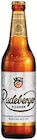 Netto mit dem Scottie - Pilsner Angebot im Prospekt Pilsner bei Netto mit dem Scottie im Prospekt "" für 9,99 €
