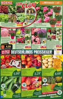 Kartoffeln im Norma Prospekt "Mehr fürs Geld" mit 19 Seiten (Nürnberg)