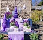Gartendeko im Angebot bei Garten-Center Nordharz GmbH & Co. KG in Halberstadt Gartendeko Angebote bei Garten-Center Nordharz GmbH & Co. KG Halberstadt für 1,49 €