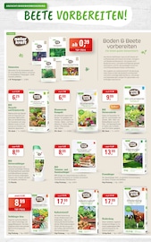 Saatgut im ZG Raiffeisen Prospekt in Weinheim Aktueller ZG Raiffeisen Prospekt mit Saatgut, "BLÜTENPRACHT LEICHT GEMACHT", Seite 2