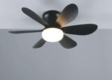 Aktuelle Ventilator Angebote bei toom Baumarkt in Pforzheim Aktuelles Deckenleuchte mit Ventilator „Lund“ Angebot bei toom Baumarkt in Pforzheim ab 39,99 €