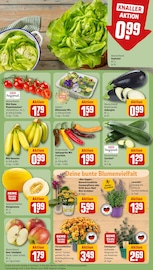 Zucchini Angebote im Prospekt "Dein Markt" von REWE auf Seite 7