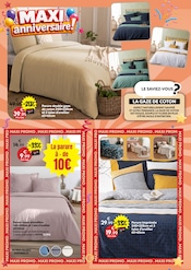Promos Oreiller dans le catalogue "MAXI anniversaire !" de Maxi Bazar Oreiller en promo dans le catalogue Maxi Bazar à la page 11
