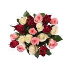 Rosenstrauß bunt im aktuellen Lidl Prospekt