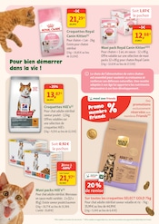 Promos Royal Canin dans le catalogue "maxi zoo" de Maxi Zoo à la page 4 Promos Royal Canin dans le catalogue "maxi zoo" de Maxi Zoo à la page 4
