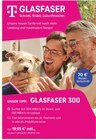 GLASFASER 300 bei Bührs Telekommunikations GmbH & Co.KG im Prospekt "" für 19,95 €