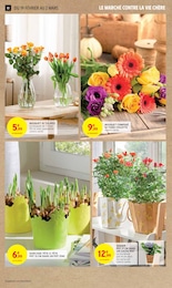 Offre Fleur En Pot dans le catalogue Intermarché du moment à la page 10