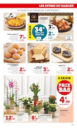 Prix et réduction Orchidée dans le prospectus U Express en cours Offre Orchidée dans le catalogue U Express du moment à la page 25