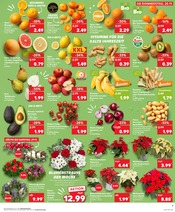 Aktueller Kaufland Prospekt mit Kiwi, "Aktuelle Angebote", Seite 7