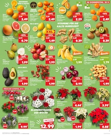 Bananen im Kaufland Prospekt "Aktuelle Angebote" mit 28 Seiten (Wuppertal)