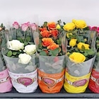 Obstbäumchen Angebote bei Thomas Philipps Regensburg für 1,11 €