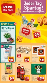 REWE Prospekt Dein Markt mit 32 Seiten