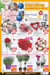 Orchidee Angebot & Preis im aktuellen E center Prospekt Orchidee Angebot im aktuellen E center Prospekt auf Seite 22