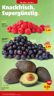 Obst im Penny Prospekt "Wer günstig will, muss Penny." mit 38 Seiten (Frankfurt (Main))