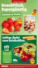 Aktueller Penny Prospekt mit Erdbeeren, "Wer günstig will, muss Penny.", Seite 2