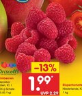Himbeeren von Driscoll's für 1,99 € bei Netto Marken-Discount im Angebot Himbeeren von Driscoll's im aktuellen Netto Marken-Discount Prospekt