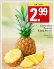 WEZ Bückeburg Prospekt mit  im Angebot für 2,99 €