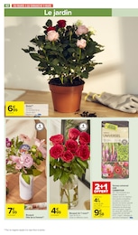 Offre Jardinage dans le catalogue Carrefour Market du moment à la page 42