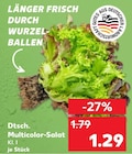 Kaufland Roth - Dtsch. Multicolor-Salat Angebot im Prospekt Dtsch. Multicolor-Salat bei Kaufland im Roth Prospekt für 1,29 €