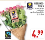 Lieblingsrosen bei Marktkauf im Greven Prospekt für 4,99 €
