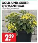 Aktuelles Gold-und-Silber-Chrysantheme Angebot bei Wreesmann in Dresden ab 2,29 €