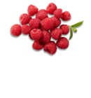 Kaufland Chemnitz - Dtsch. Himbeeren Angebot im Prospekt Dtsch. Himbeeren bei Kaufland im Chemnitz Prospekt für 1,99 €