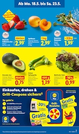 Aktueller Lidl Prospekt mit Erdbeeren, "LIDL LOHNT SICH", Seite 7
