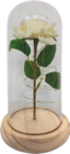 Rose artificielle led - CASALUX - Aldi à Neuilly-sur-Seine Rose artificielle led - CASALUX en promo chez Aldi Neuilly-sur-Seine à 9,99 €