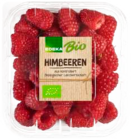 Himbeeren im EDEKA Prospekt Himbeeren von EDEKA Bio im aktuellen EDEKA Prospekt für 1,99 €