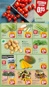 Obst im aktuellen REWE Prospekt (Frankfurt (Main)) Obst im REWE Prospekt "Dein Markt" mit 16 Seiten (Frankfurt (Main))