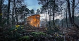 Freilaufende Rehe, Baumhäuser und die Schönheit der Vienne-Landschaft von Le Bois aux Daims im aktuellen Center Parcs Prospekt für 322,00 €