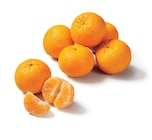 Promo Mandarines à 2,49 € dans le catalogue Lidl à Le Mans