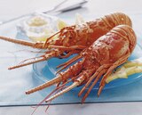 LANGOUSTE ENTIÈRE CUITE RÉFRIGÉRÉE - SANS MARQUE - Auchan Hypermarché à Bron LANGOUSTE ENTIÈRE CUITE RÉFRIGÉRÉE - SANS MARQUE en promo chez Auchan Hypermarché Bron à 35,99 €