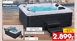 Whirlpool Oasis ohne Treppe Angebote von Artsauna bei Netto Marken-Discount Leinfelden-Echterdingen für 2.899,00 €