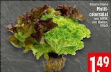 Multicolorsalat bei EDEKA im Recklinghausen Prospekt für 1,49 €