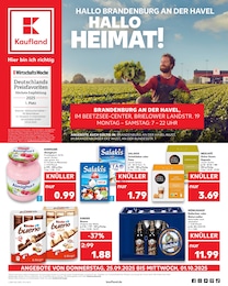 Kaufland Prospekt für Brandenburg: "Hier bin ich richtig", 64 Seiten, 25.09.2025 - 01.10.2025