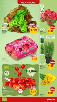 Garten Angebot im aktuellen Penny Prospekt auf Seite 3