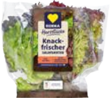 EDEKA Kamminke - Ballensalat Mix Angebot im Prospekt Ballensalat Mix bei EDEKA im Kamminke Prospekt für 1,29 €