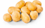 Aktuelle Kartoffeln Angebote bei Netto Marken-Discount in Krefeld Aktuelles Speisekartoffeln „Pfälzer Grumbeere“ Angebot bei Netto Marken-Discount in Krefeld ab 2,22 €