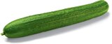 Gurken bei Netto Marken-Discount im Prospekt "" für 0,59 €