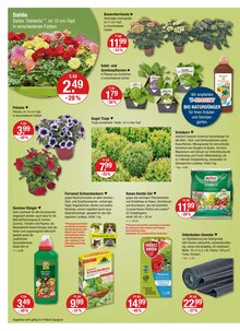 Pflanzen im V-Markt Prospekt "V-Markt einfach besser einkaufen" mit 25 Seiten (Regensburg)