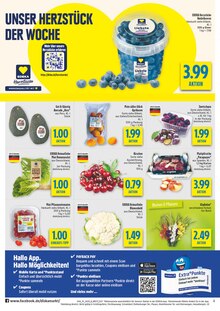 Pflanzen im aktuellen diska Prospekt (Erlangen) Pflanzen im diska Prospekt "alles an deinem ort." mit 36 Seiten (Erlangen)