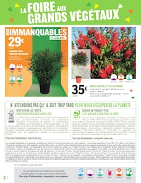 Offre Fleurs d'extérieur dans le catalogue E.Leclerc du moment à la page 2
