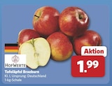 Tafeläpfel Braeburn bei combi im Brakel Prospekt für 1,99 €