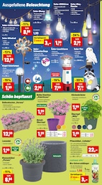 Pflanzen Angebot im aktuellen Thomas Philipps Prospekt auf Seite 2