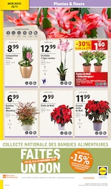 Fleurs Angebote im Prospekt "BLACK FRIDAY DEALS" von Lidl auf Seite 4