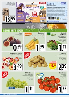 Kartoffeln im EDEKA Prospekt "APPsolut fantastisch!" mit 4 Seiten (Ingolstadt)
