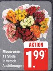 Moosrosen bei E aktiv markt im Wittdün Prospekt für 1,99 €